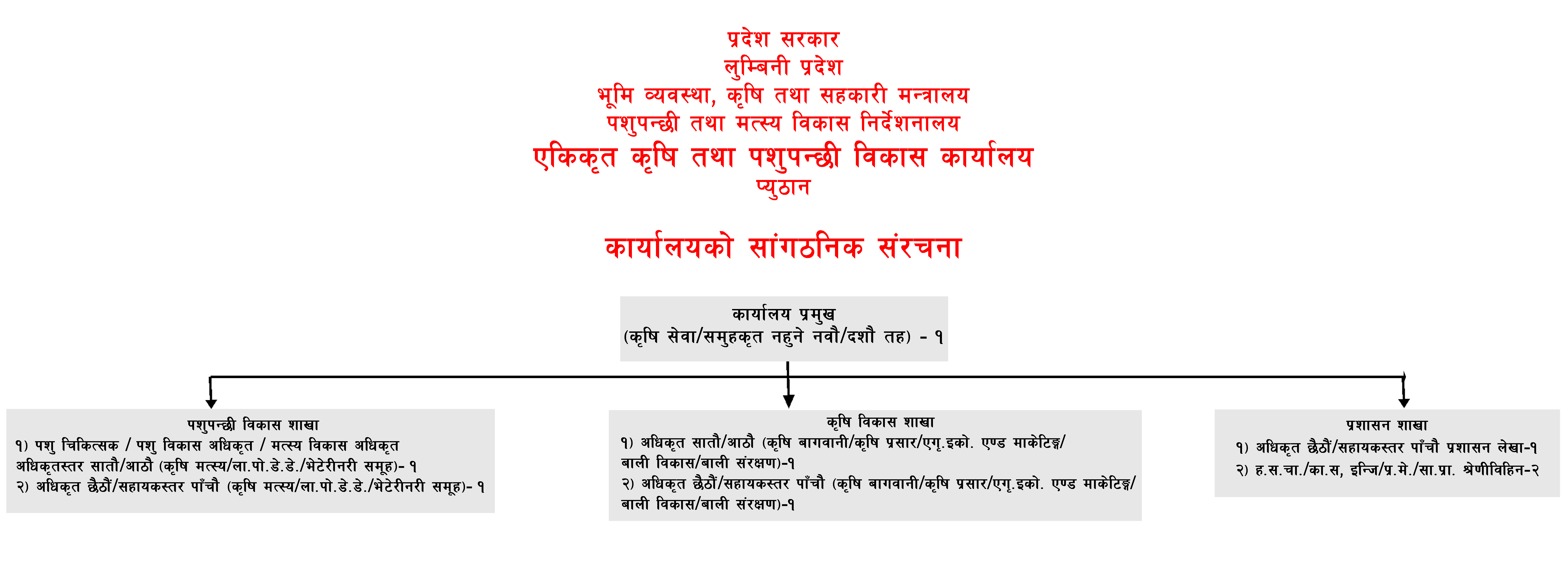 Organization Structure_pyuthan